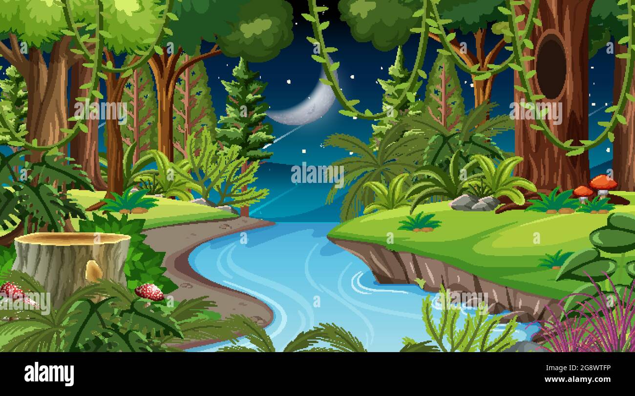 Forest landscape scene at night with many different trees illustration ...