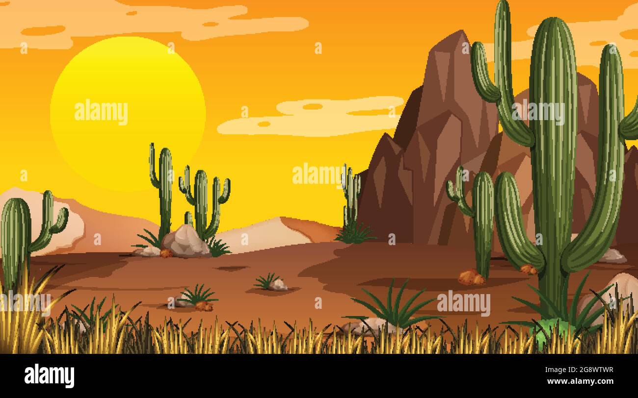 Desert forest landscape at sunset time scene with many cactuses ...