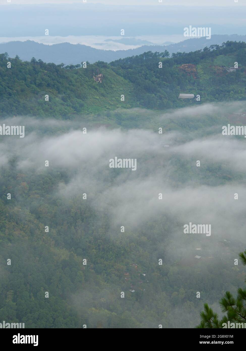 Aerial shot fog over forest hi-res stock photography and images - Alamy