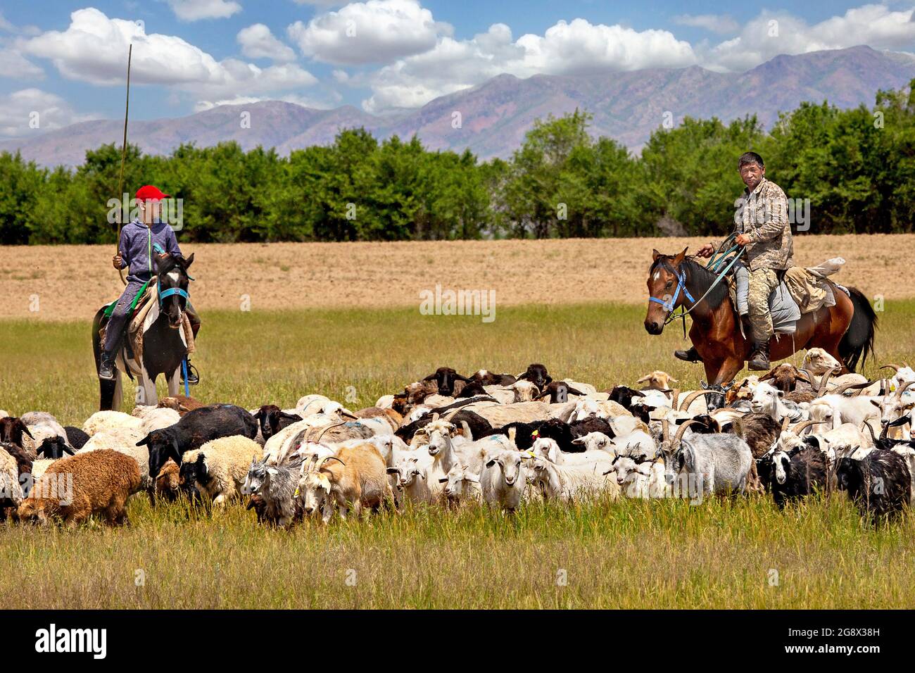 Father and son herders on their horse in Saryozek, Kazakhstan Stock Photo