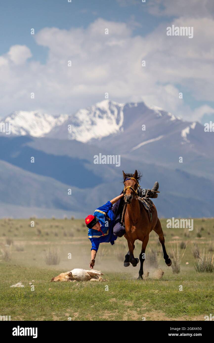 Nomadic horse rider with the goat carcass during traditional nomadic horse games known as Buzkashi or Kok Par, in Issyk Kul, Kyrgyzstan. Stock Photo