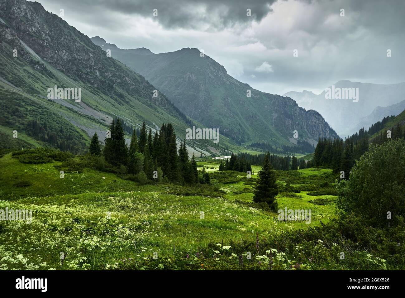 Beautiful scenery of river in the mountain valley and green lush forest on Almaty, Kazakhstan Stock Photo