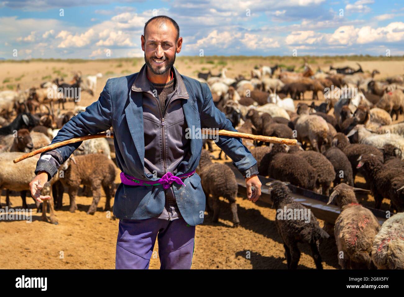 Uzbek shepherd with his herd of sheep in the background in the outskirts of Samarkand, Uzbekistan Stock Photo
