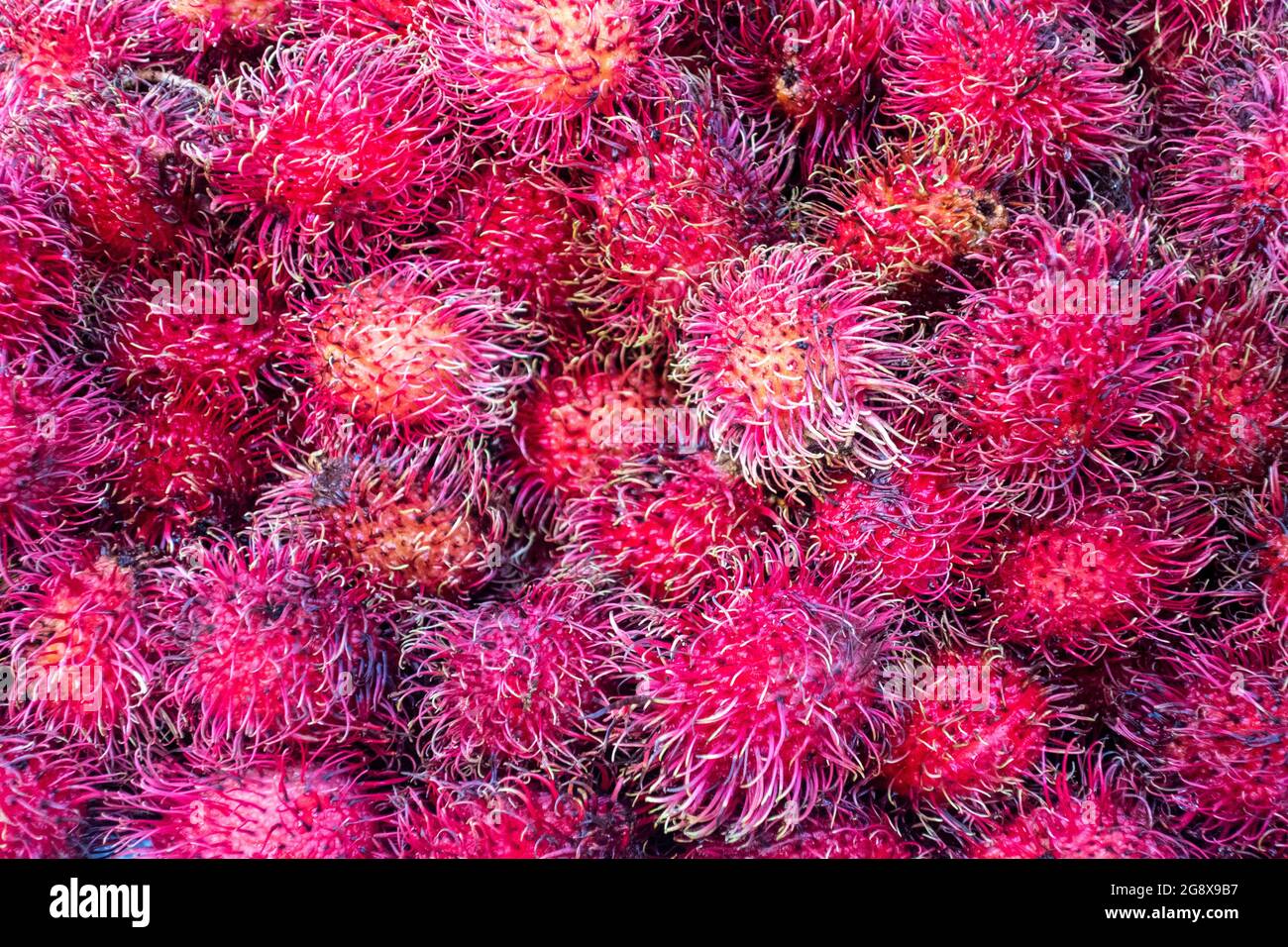 Rambutan fresh fruit stall hi-res stock photography and images - Alamy