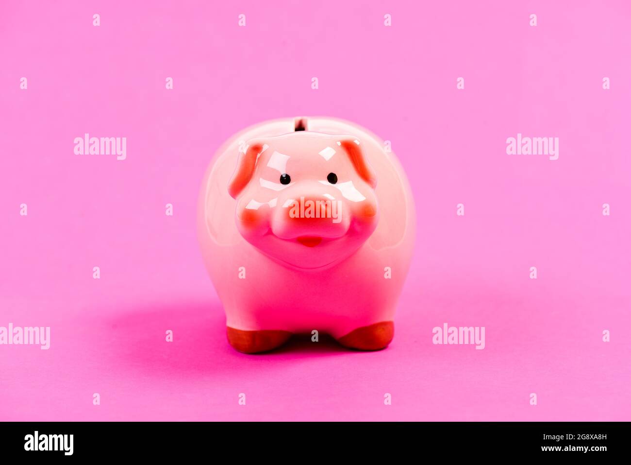 Moneybox for coins. planning budget. management. piggy bank on pink background. money