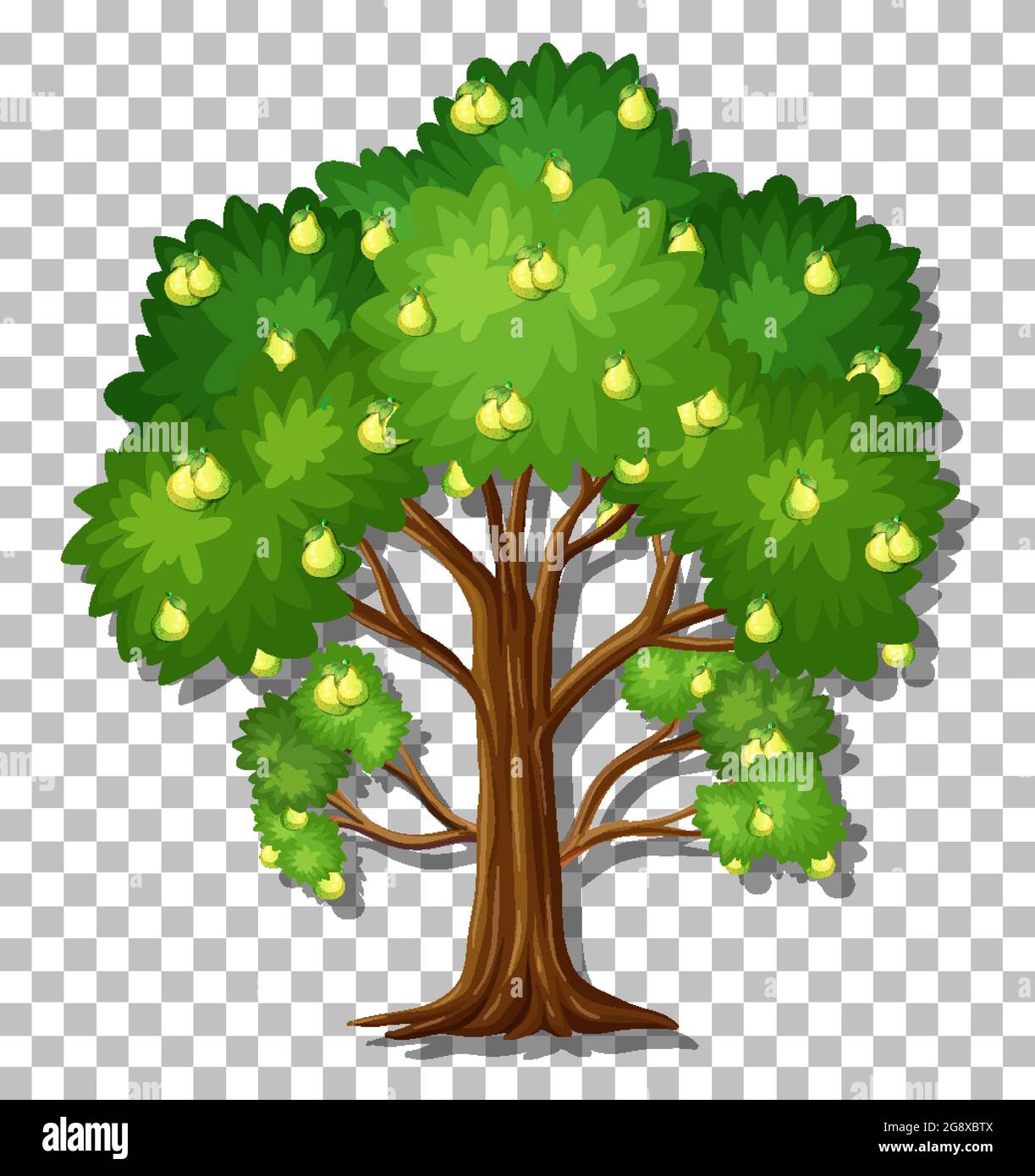 Pear tree on transparent background illustration Stock Vector Image