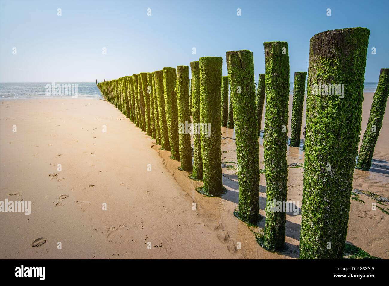 Breakwaters on the beach of the Netherlands. Stock Photo