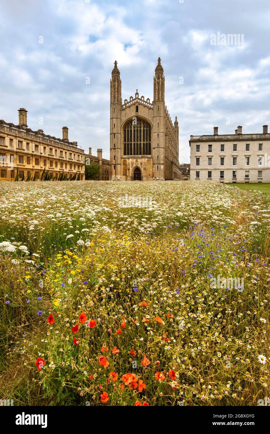 CAMBRIDGE ENGLAND KING'S COLLEGE CHAPEL BUILDING WILD FLOWERS AND RED POPPIES IN SUMMER Stock
