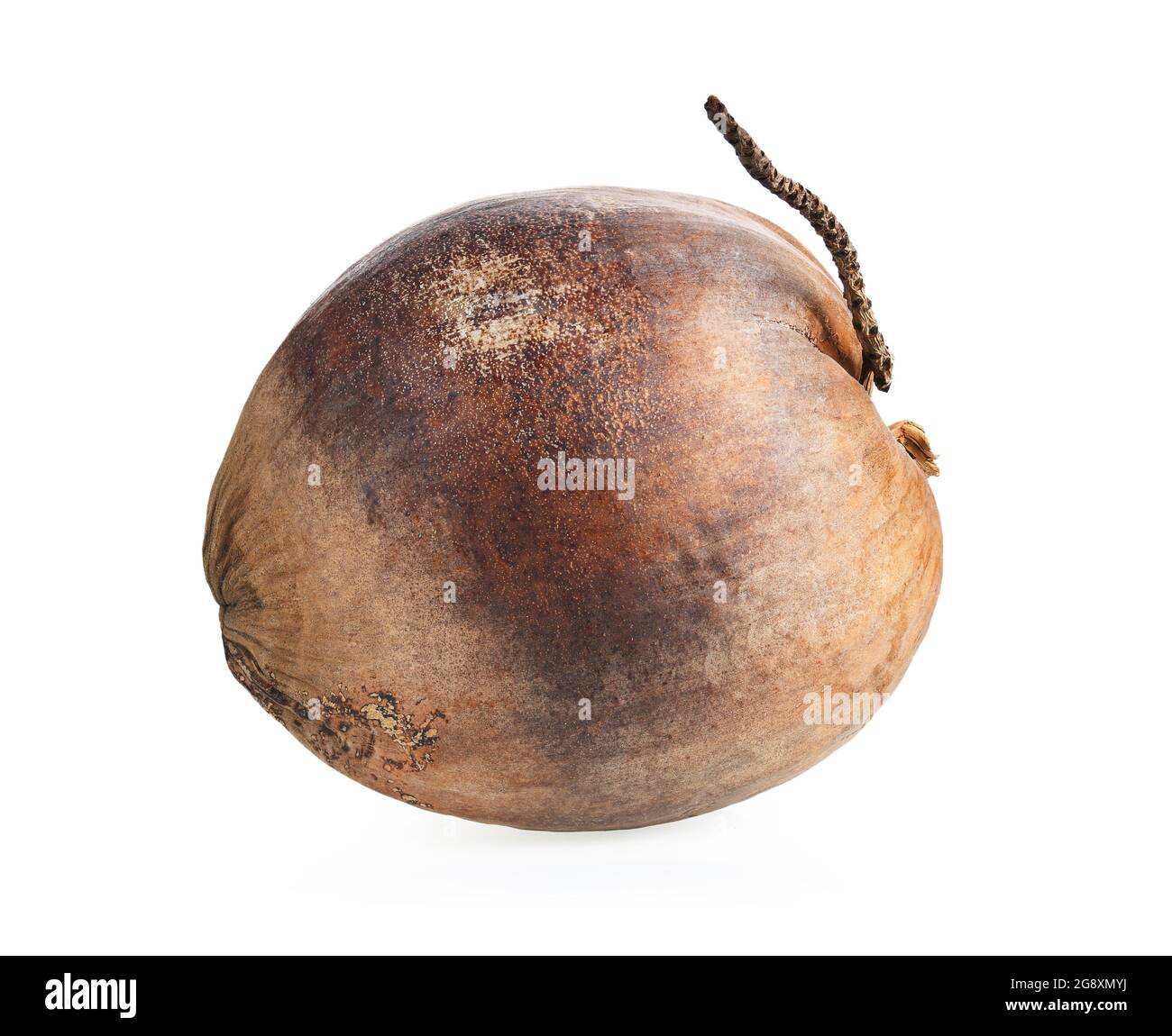 Dry coconut isolated on white background Stock Photo Alamy