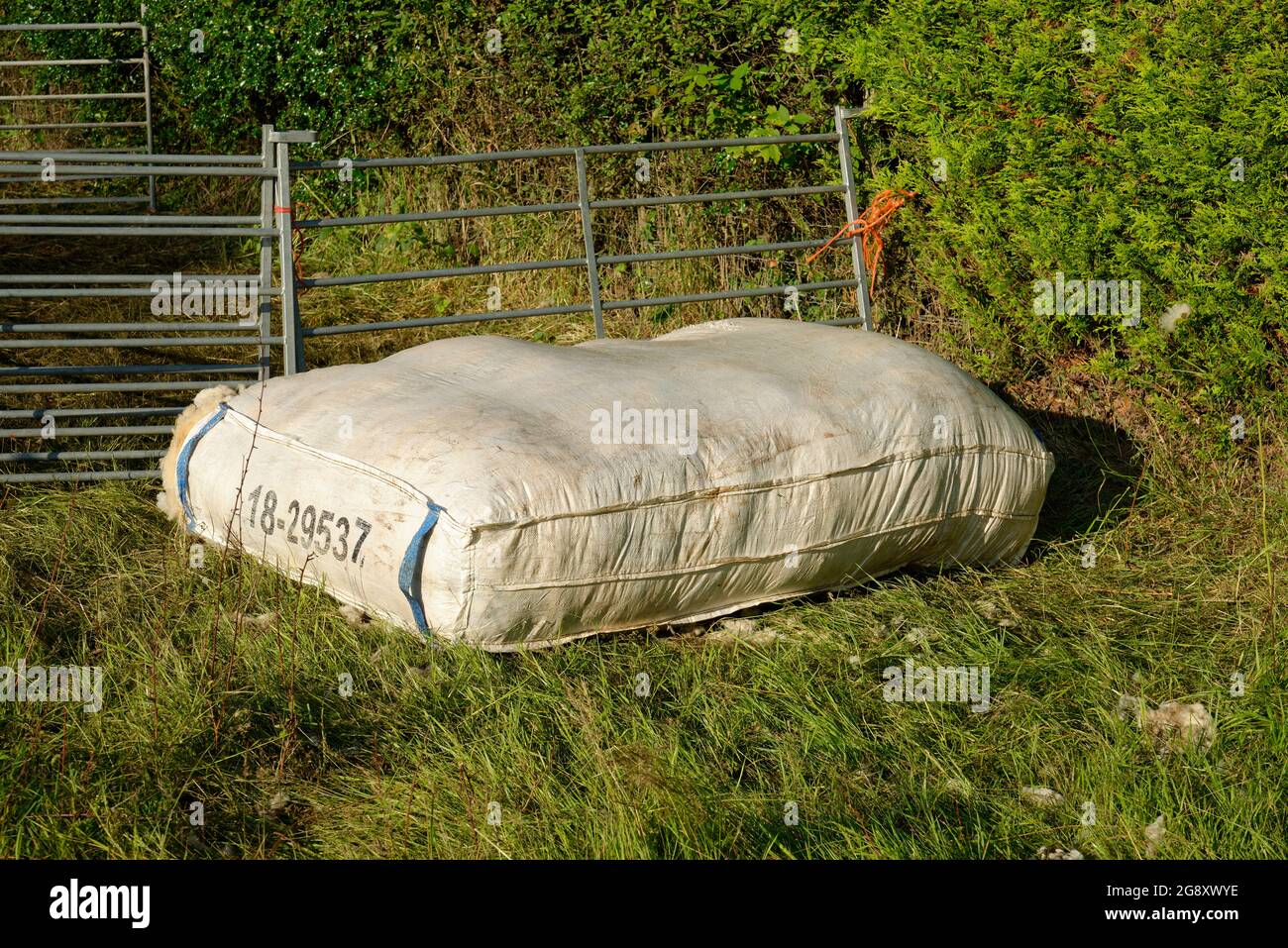 Share 132+ wool bale bags best xkldase.edu.vn