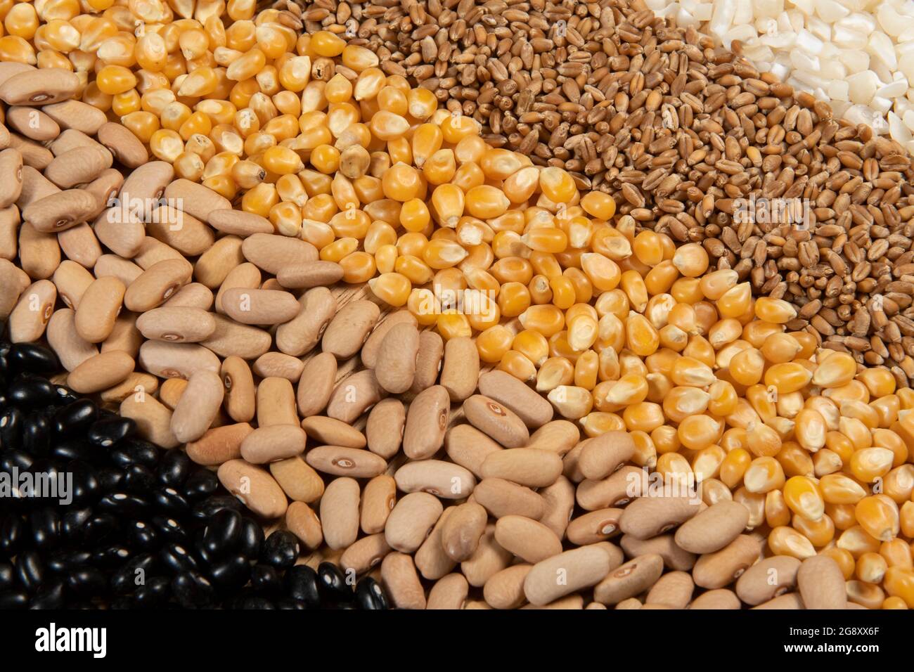 Collection of different cereal varieties and edible dry seeds. Examples