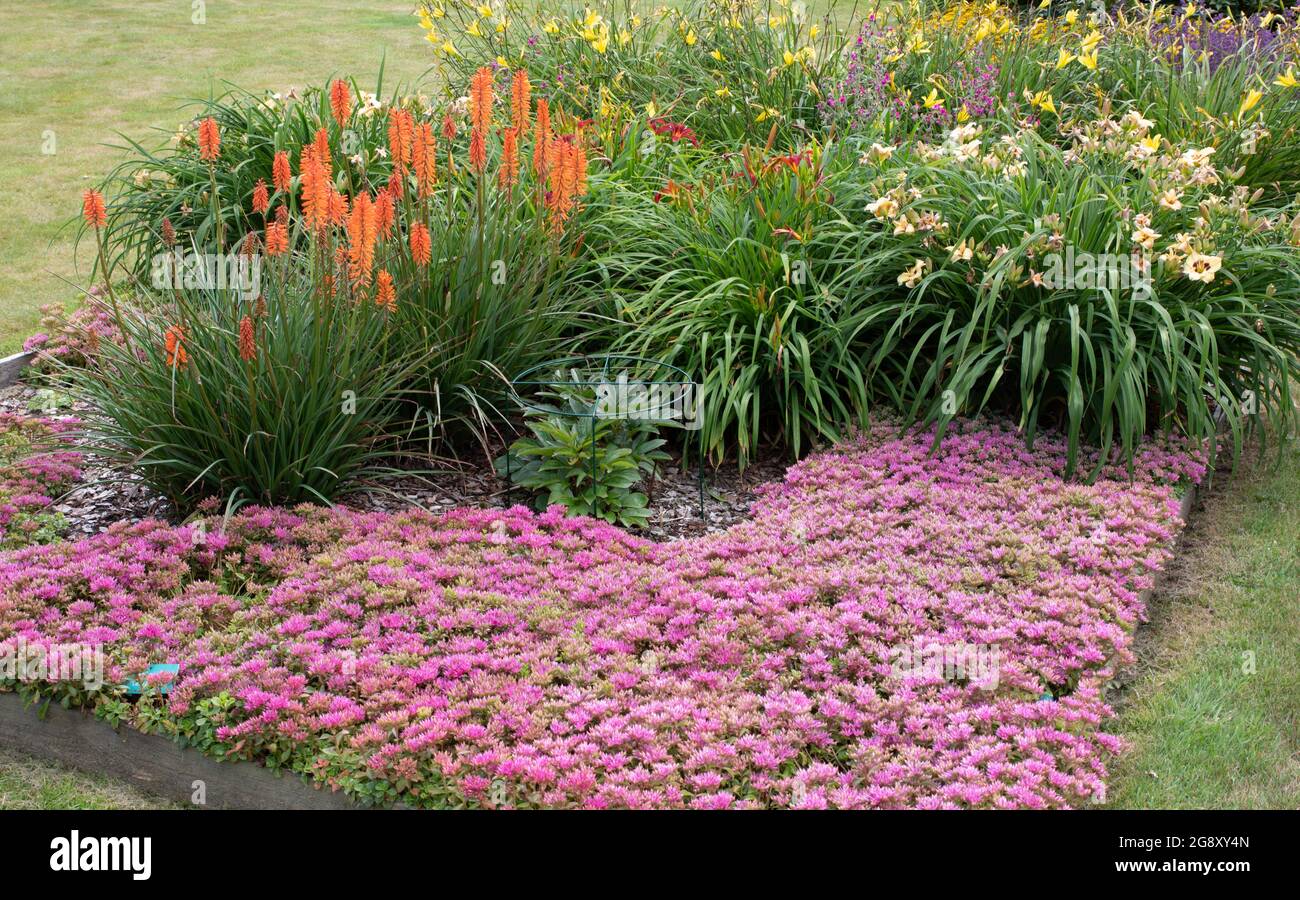 Peony and daylily garden ay Breezy Knees Gardens Stock Photo