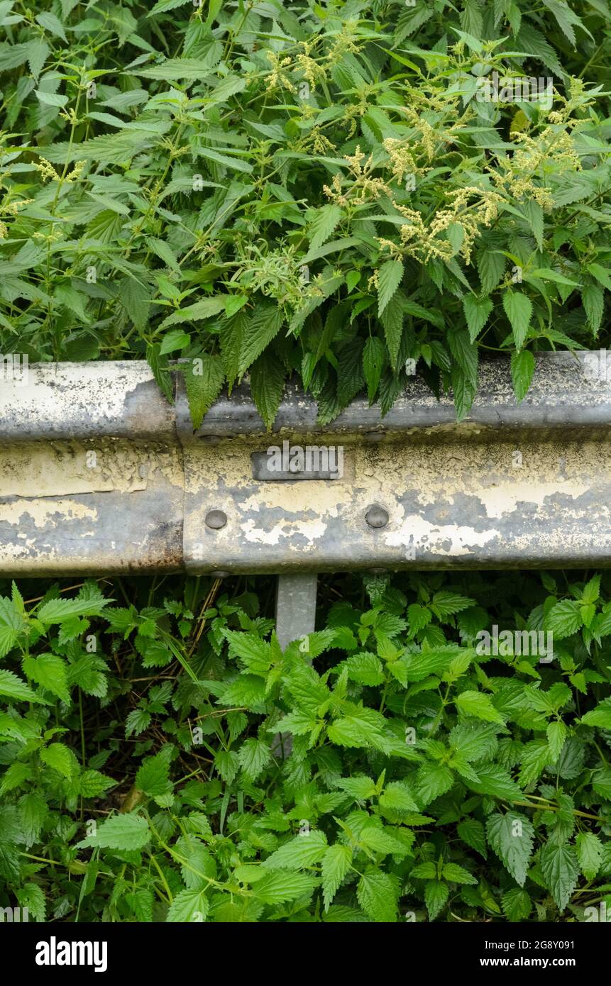 The road guardrail hi-res stock photography and images - Alamy