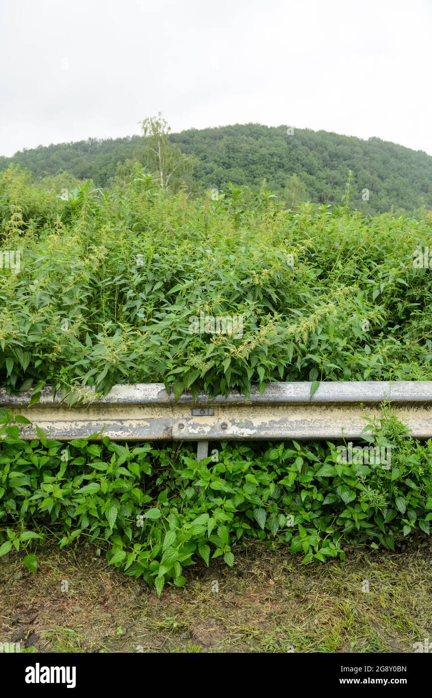 Crash barrier hires stock photography and images Alamy