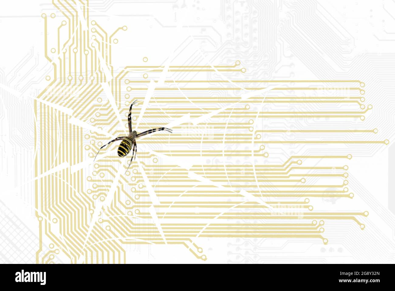 Information technology motherboard conceptual silhouette pattern with spider web and wasp spider. Copy space for your text. Stock Photo