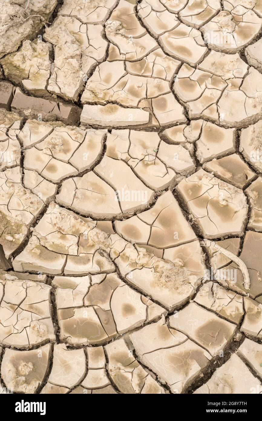 Shot of cracked dry field. For 2022 heatwave, drought in UK, parched earth, crop losses, European / US heatwave, hot summer season, dry farmland in UK Stock Photo