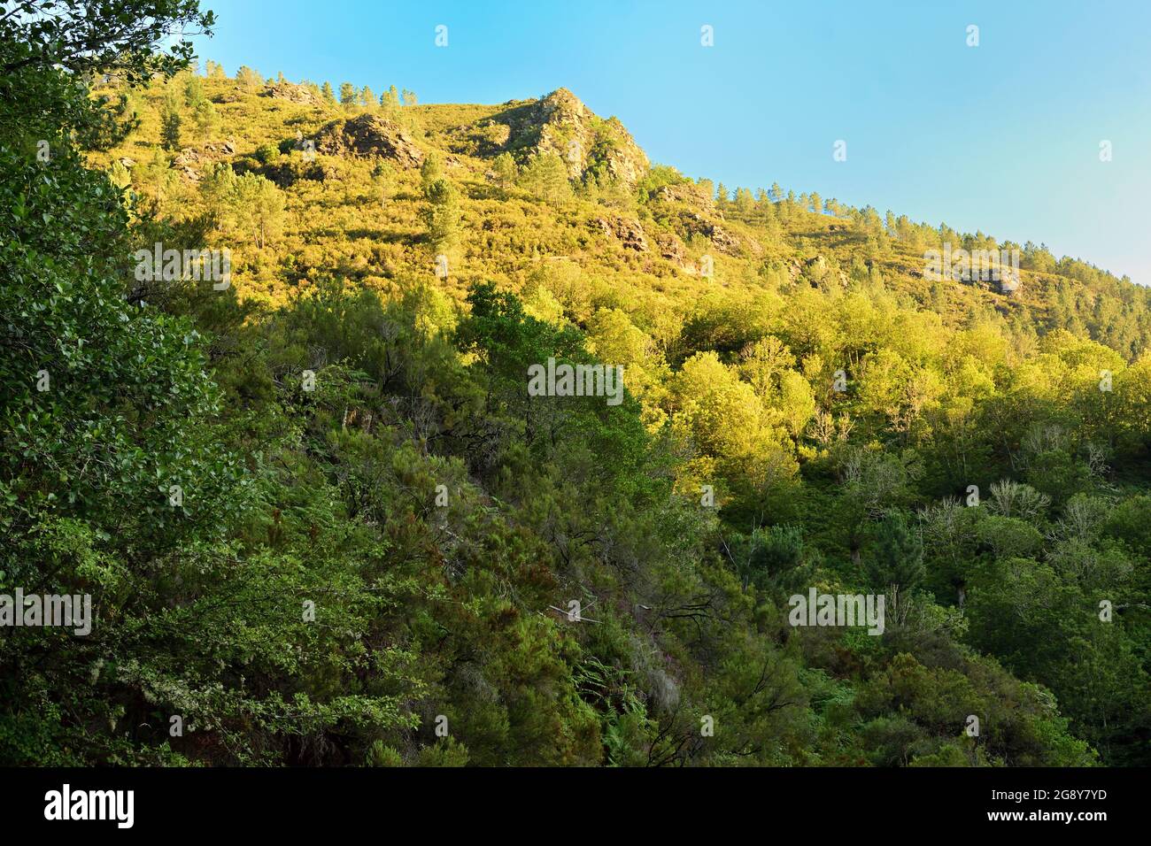 Mountains in Galicia, Spain Stock Photo