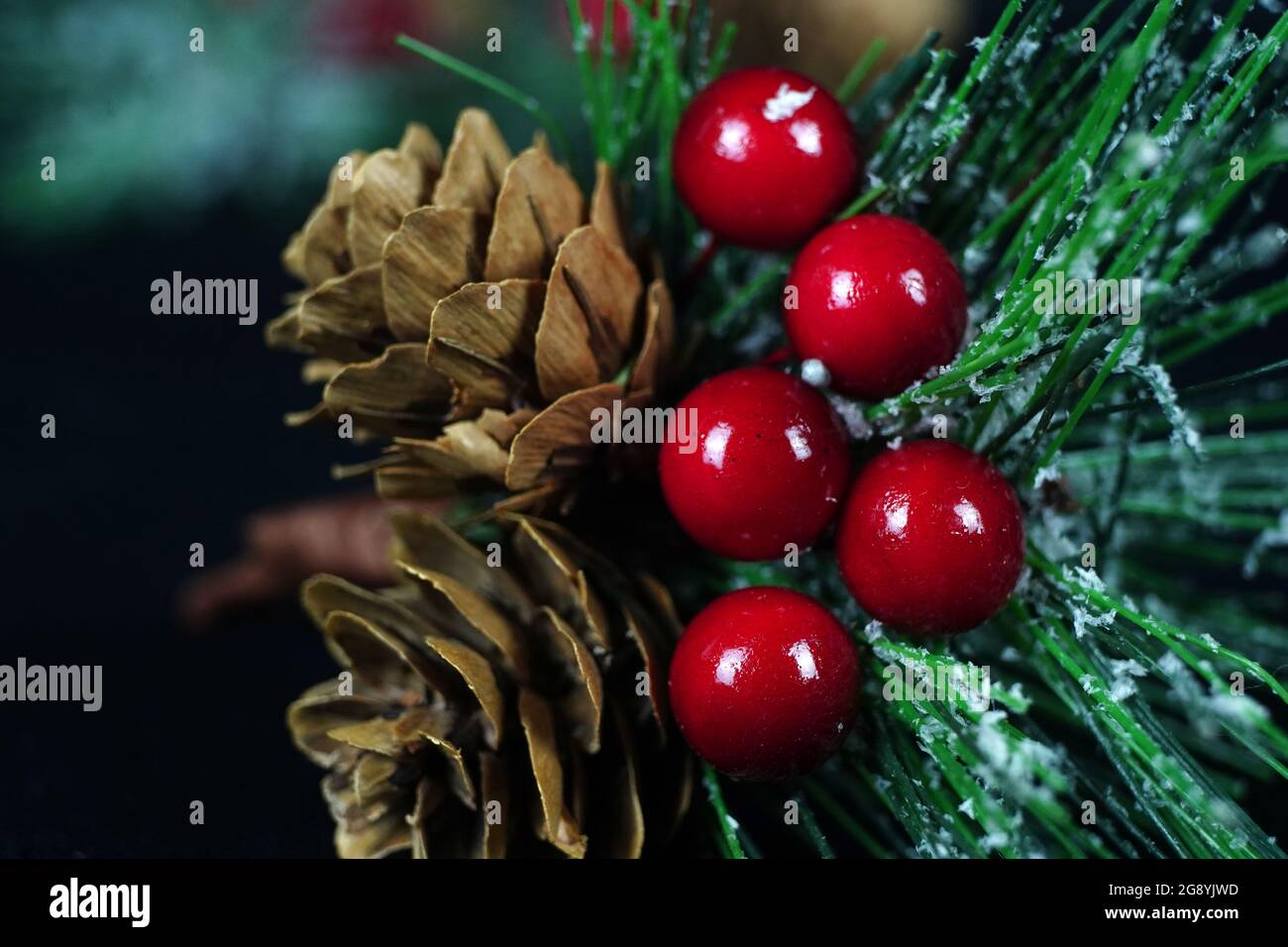 Closeup of holly berries and pine cones on a Christmas tree with a ...