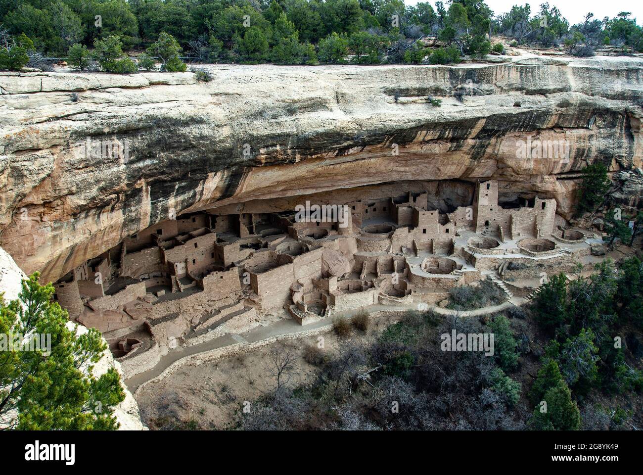 Cliff Palace, Mesa Verde National Park, Colorado Stock Photo - Alamy