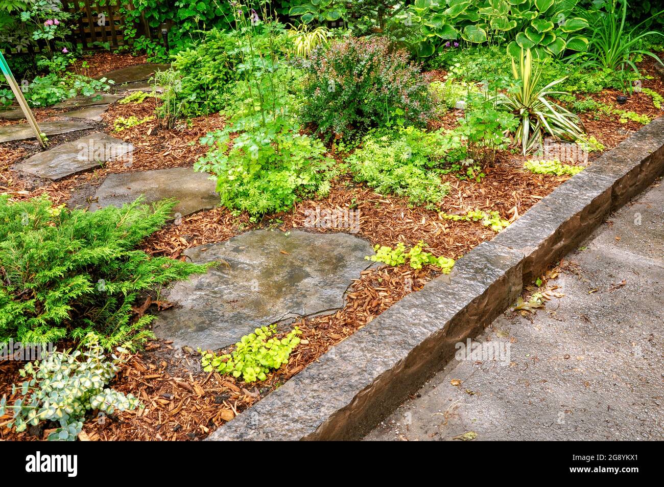 Flagstone stepping stones create a meandering path through a woodland garden. Stock Photo