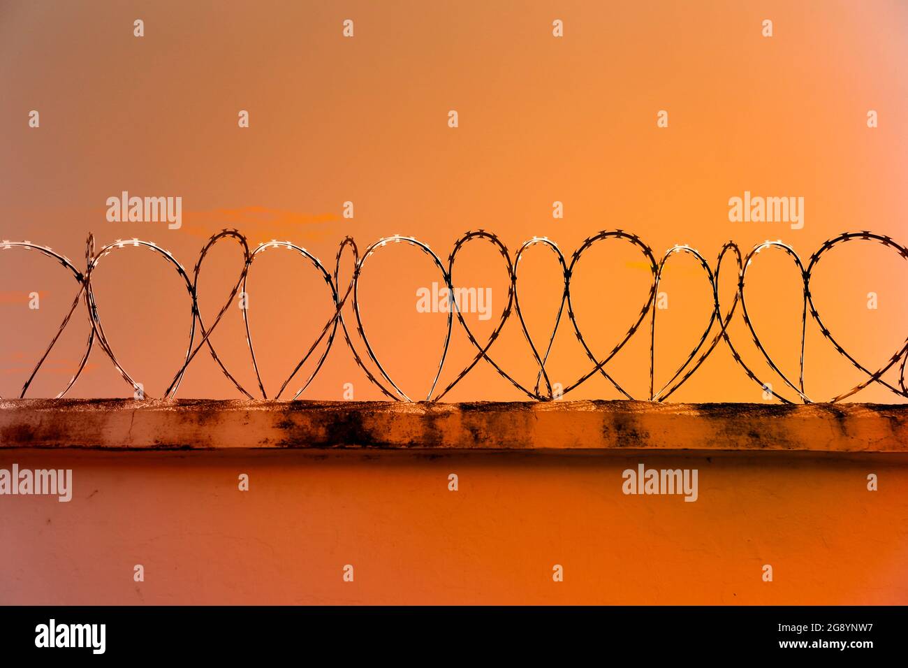 concertina metal security fence installed on a wall and a yellow