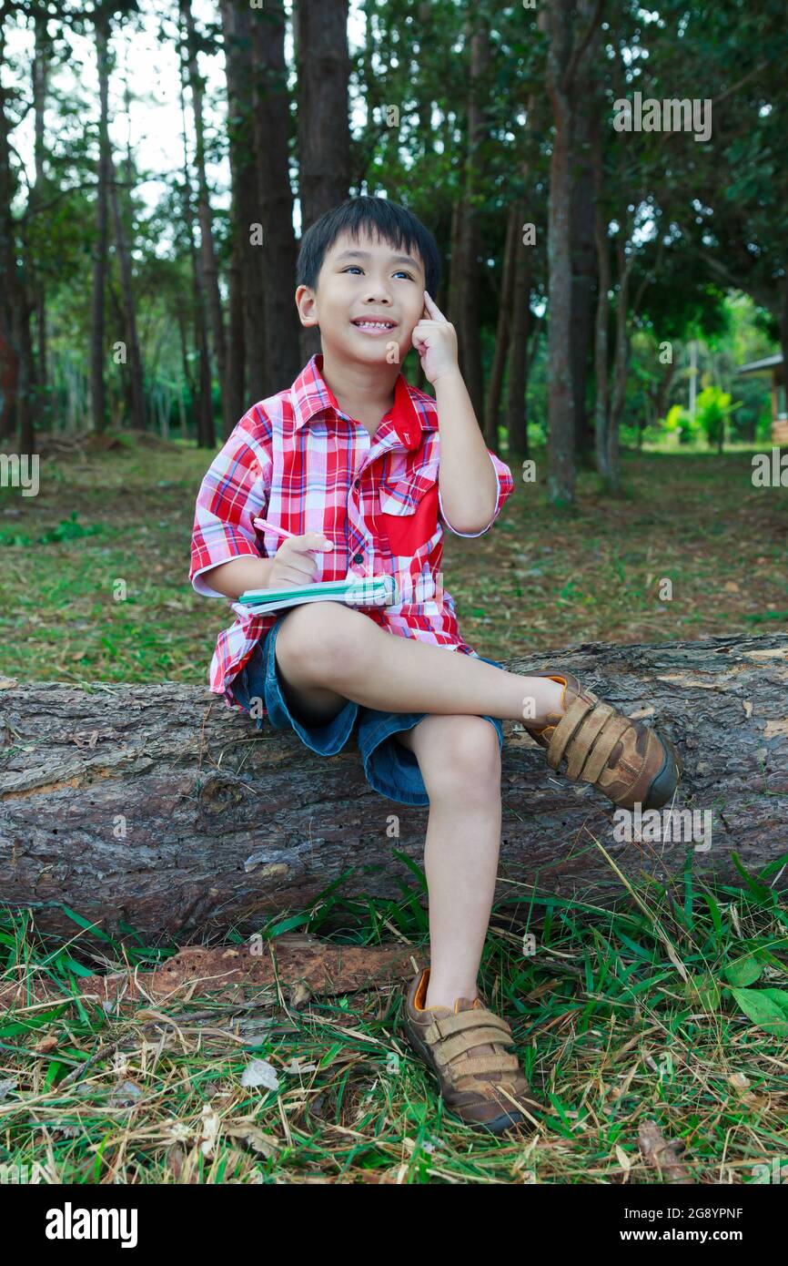 Handsome asian boy thinking to solve a problem on wooden log in national park. Outdoors in the day time with bright sunlight. Children planning and ed Stock Photo
