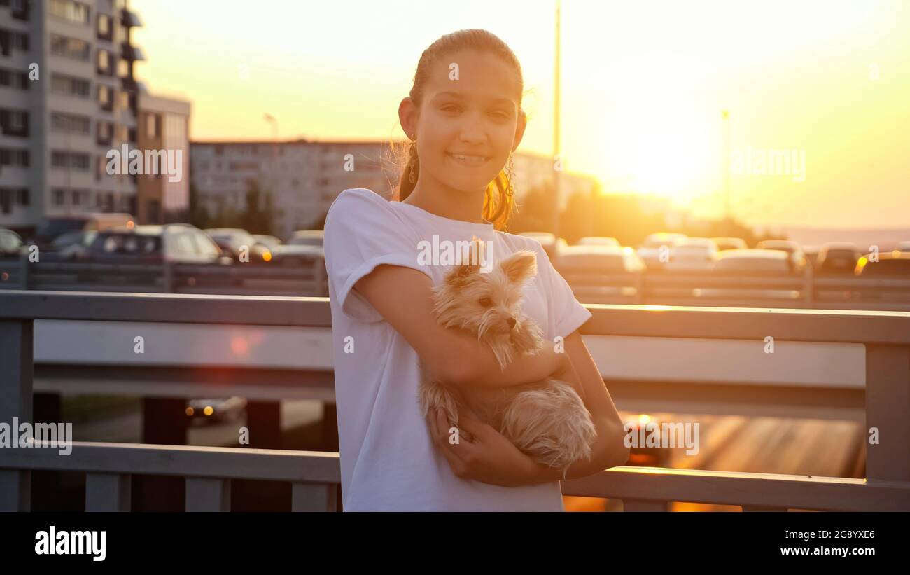 Schoolgirl poses with dog at back sunset. Teenage girl in white t-shirt holds small puppy in arms standing on street bridge against setting sun light Stock Photo