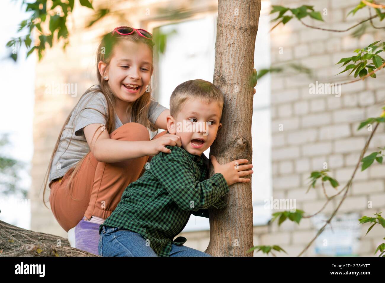 young sister and younger brother Casual older sister and younger brother relaxing on tree branch in  backyard. Enjoy summer vacation. Happy childhood. The relationship between  brother and sister Stock Photo - Alamy