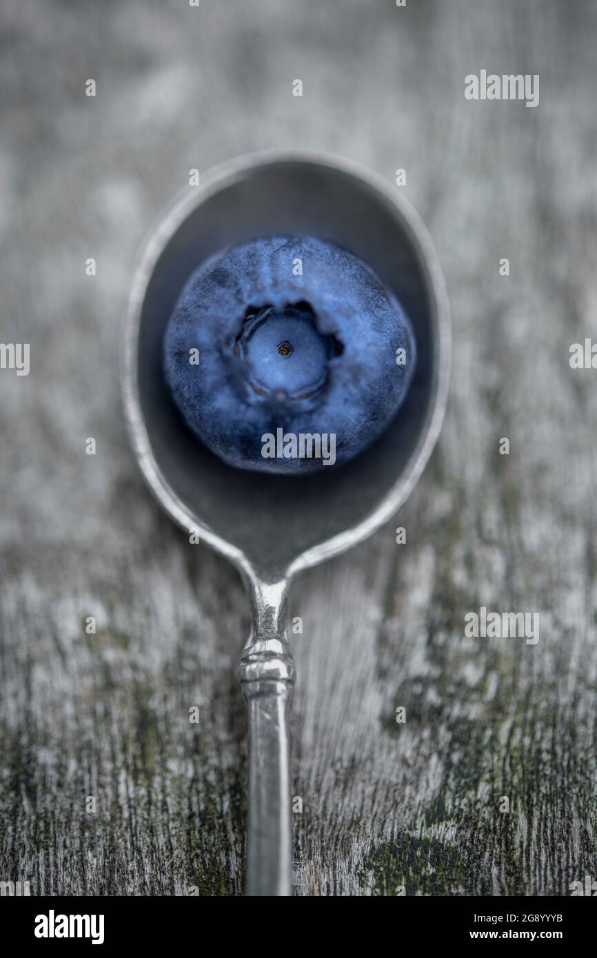 Still life of a single blueberry on a vintage silver spoon, lying on a wooden table Stock Photo