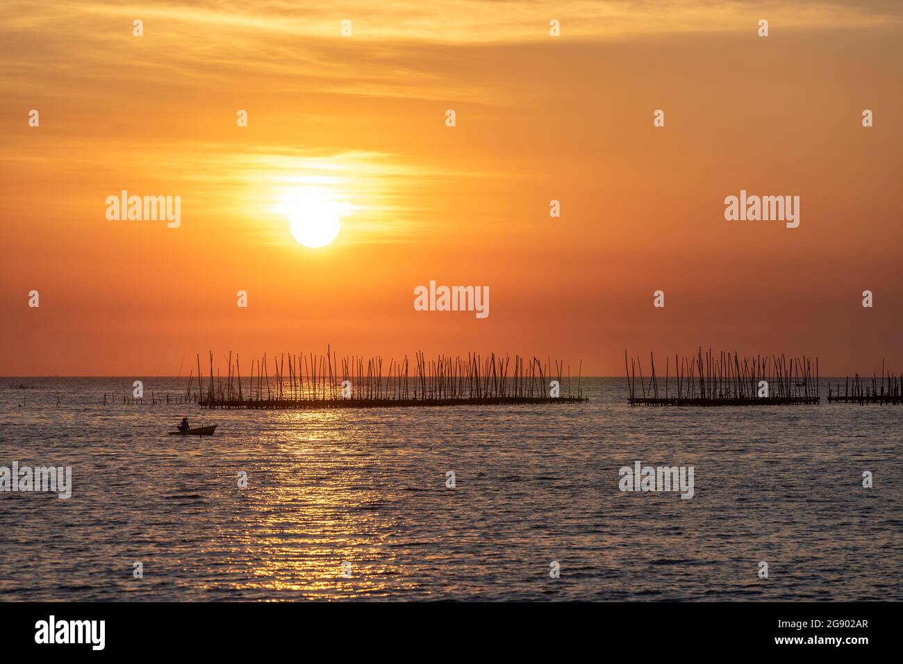 Oyster farm in the sea and beautiful sky sunset background , sun and