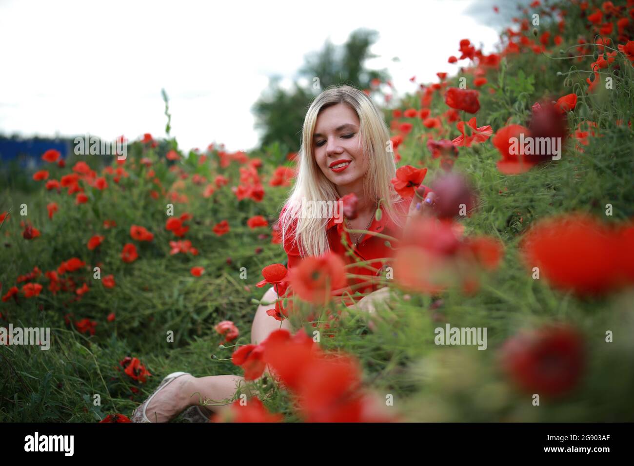 beautiful girl in a field with red poppies in a red shirt Stock Photo ...