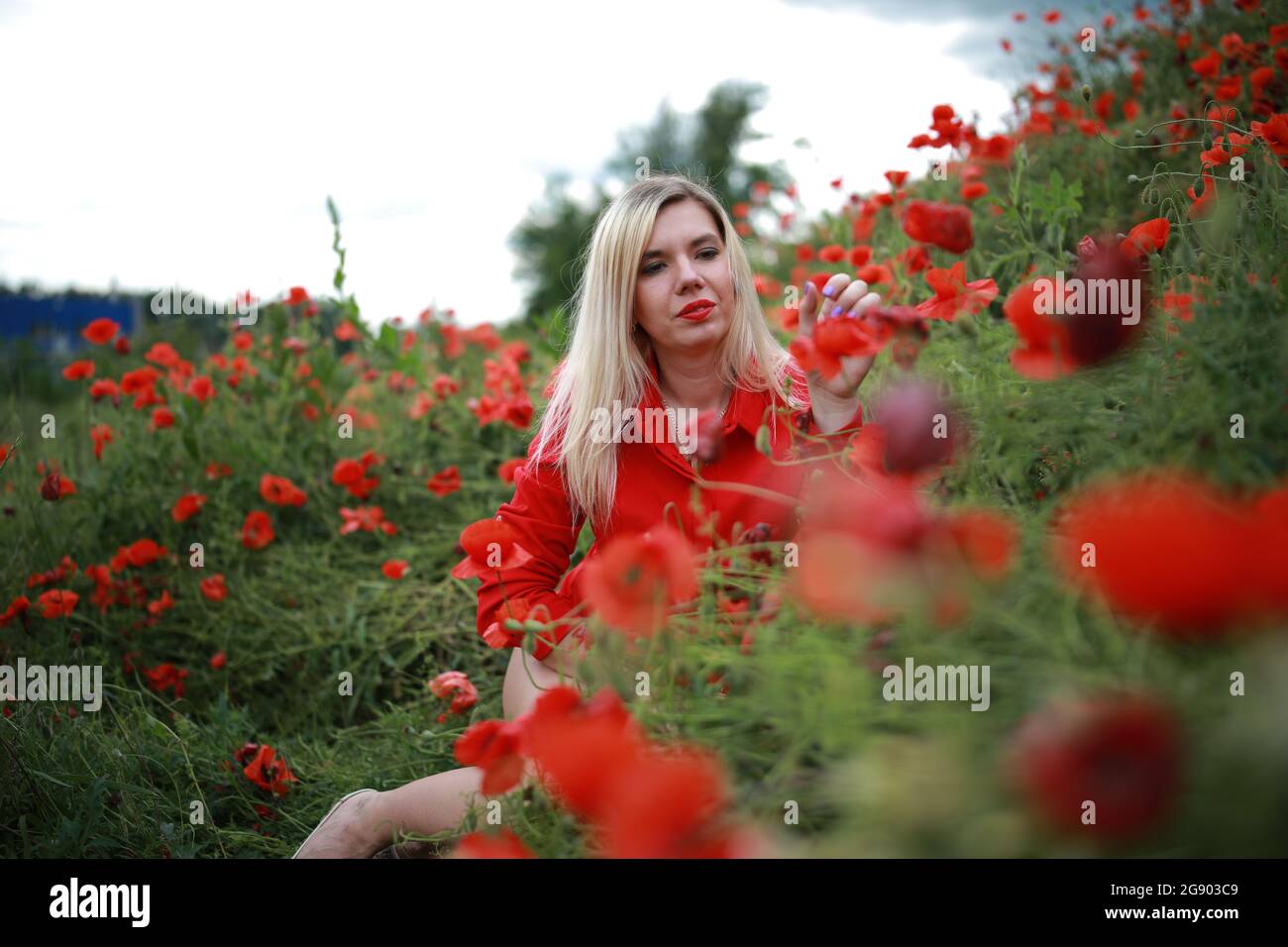 beautiful girl in a field with red poppies in a red shirt Stock Photo ...