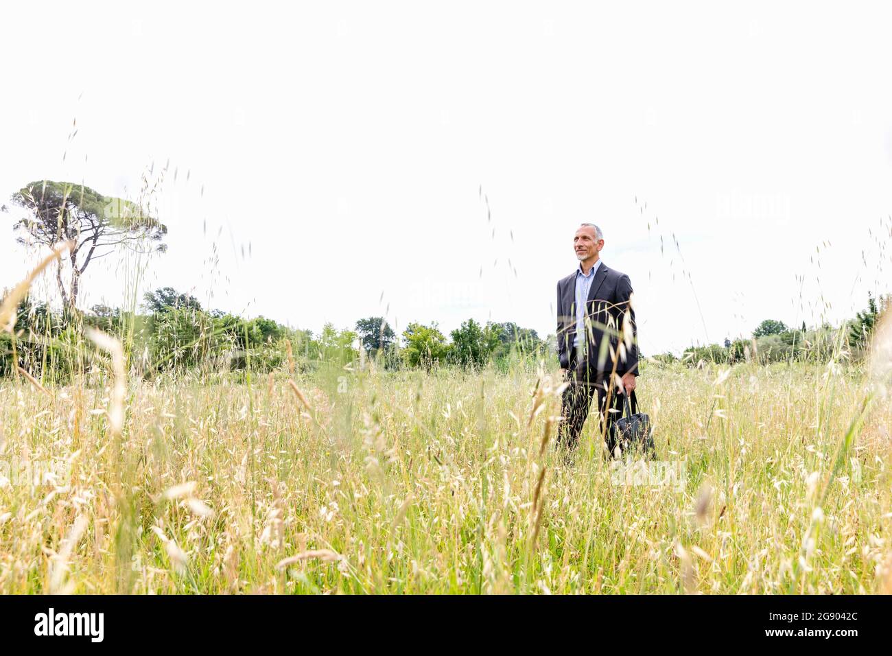 Standing Grassy Field High Resolution Stock Photography and Images - Alamy