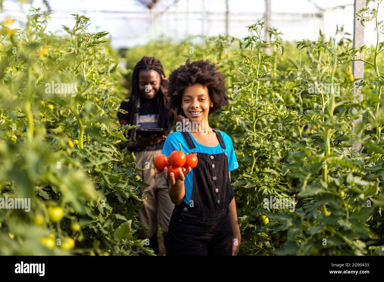 African greenhouse hi-res stock photography and images - Alamy