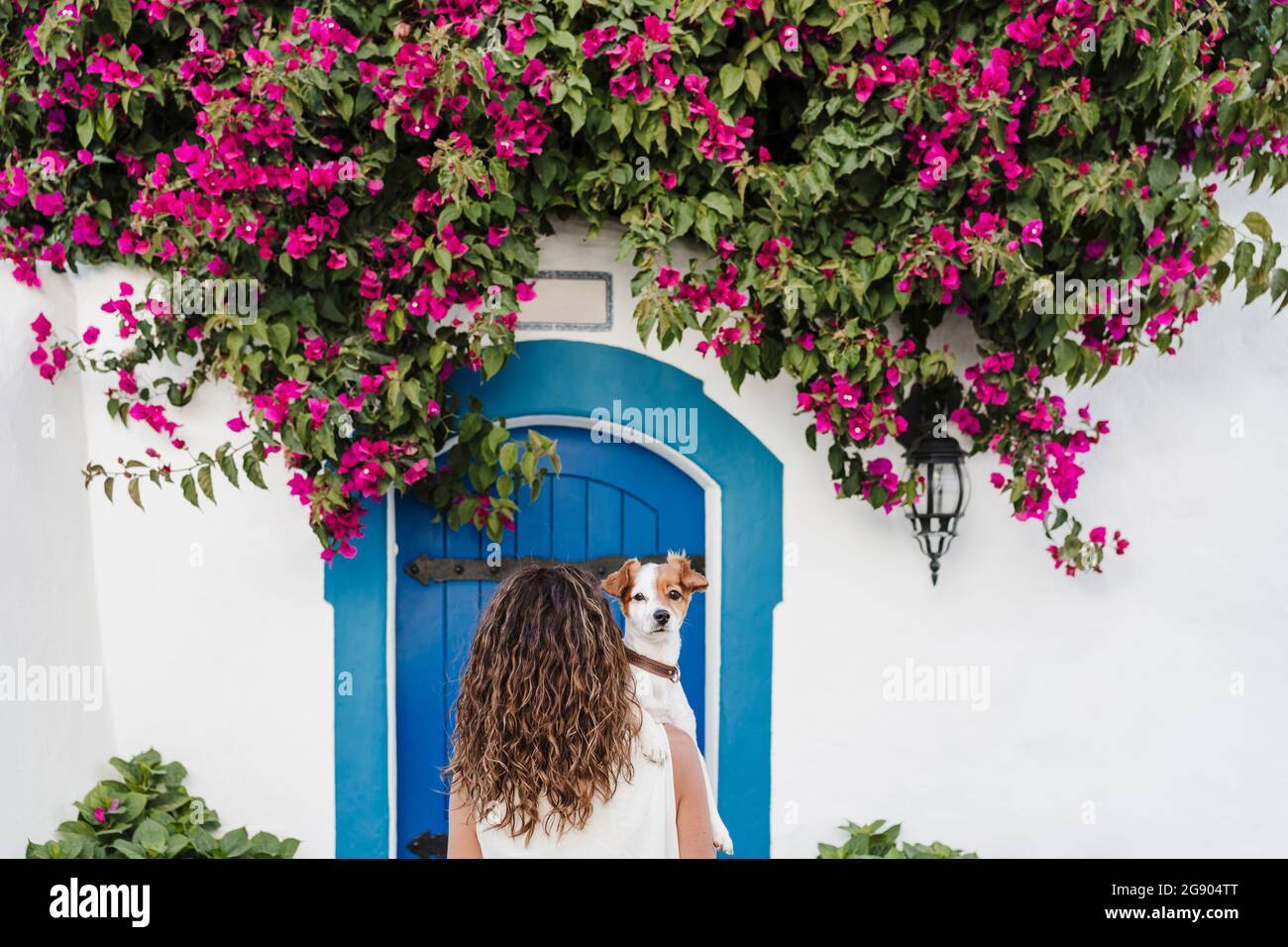 Woman with dog in front of flowering plant on wall Stock Photo