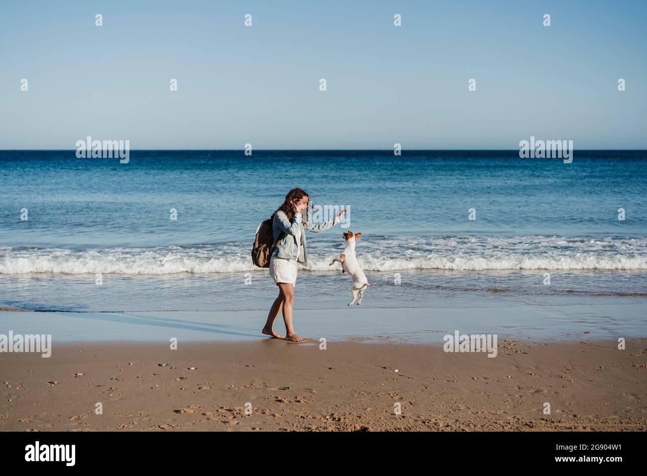 Woman playing with dog while walking at beach Stock Photo