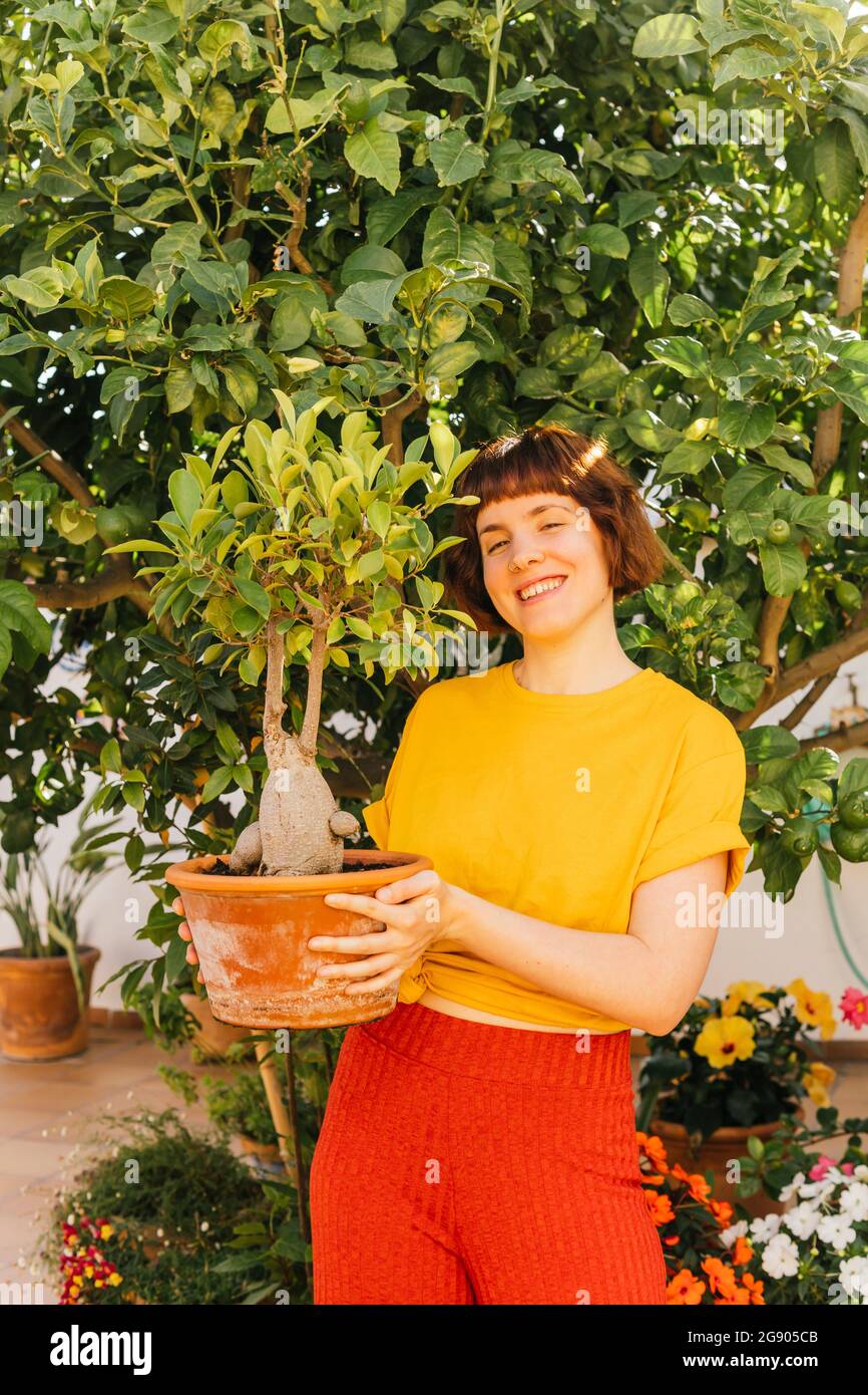 Smiling mid adult woman holding Ficus Microcarpa plant in home garden Stock Photo