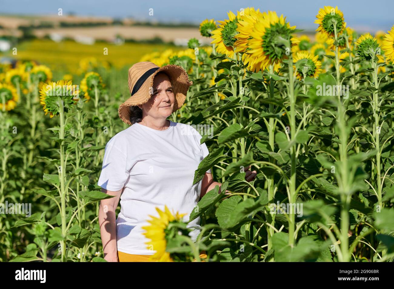 Woman wearing sunflower hat hi-res stock photography and images - Alamy