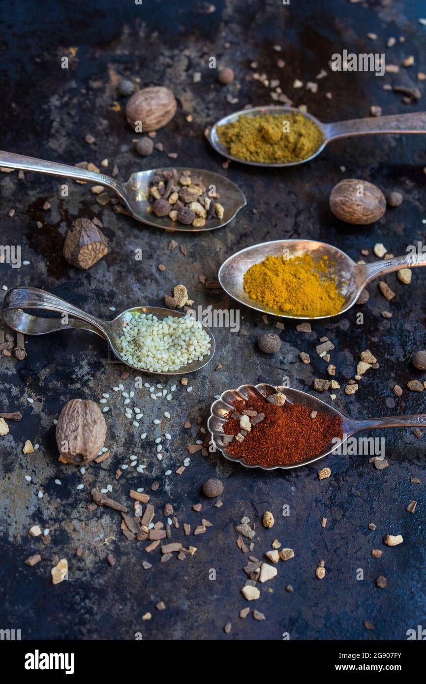 Spoons with various spices and legumes Stock Photo
