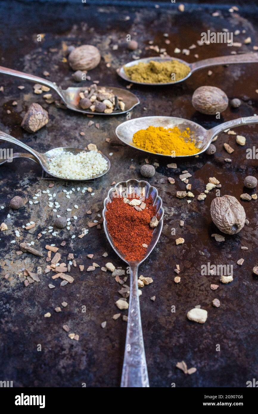 Spoons with various spices and legumes Stock Photo