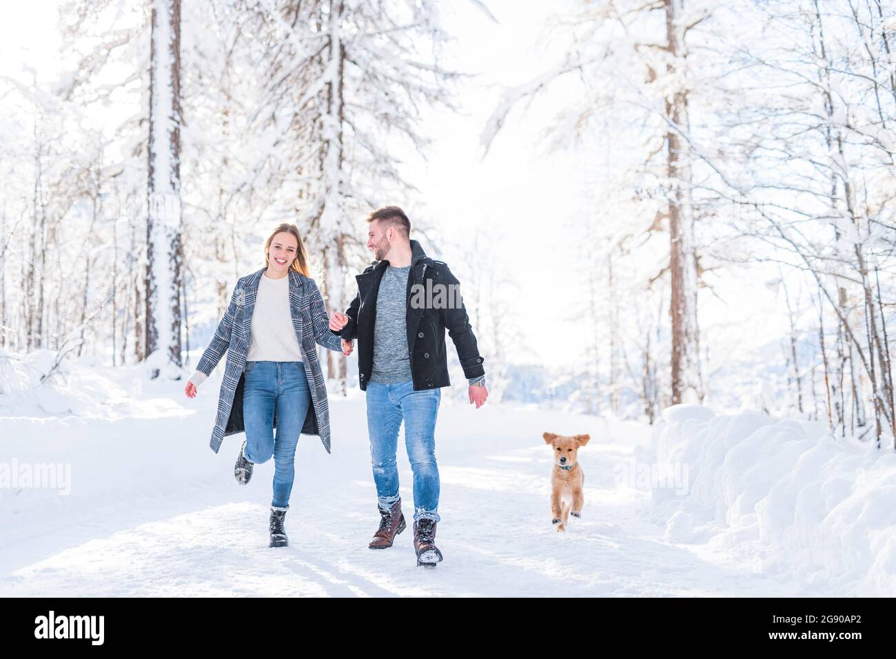 Young couple walking with dog in snow during vacation Stock Photo