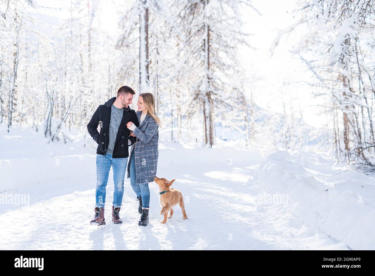 Romantic couple walking on snow with dog during vacation Stock Photo ...