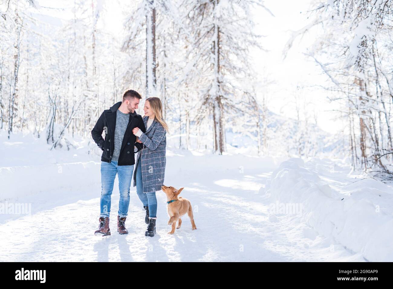 Romantic couple walking on snow with dog during vacation Stock Photo