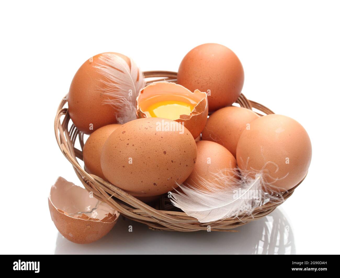chicken eggs in a nest isolated on white Stock Photo - Alamy