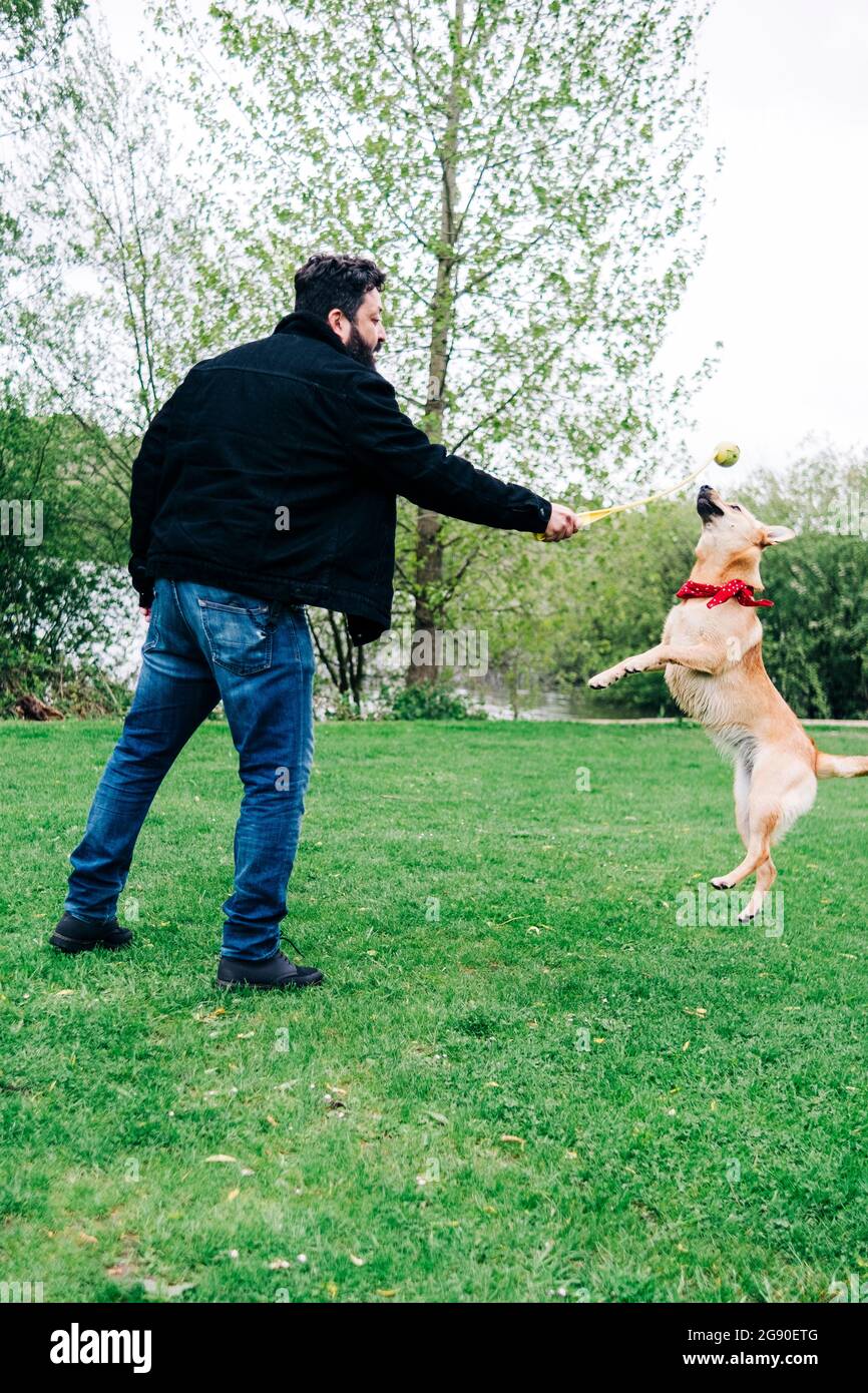 Man playing with dog in park Stock Photo