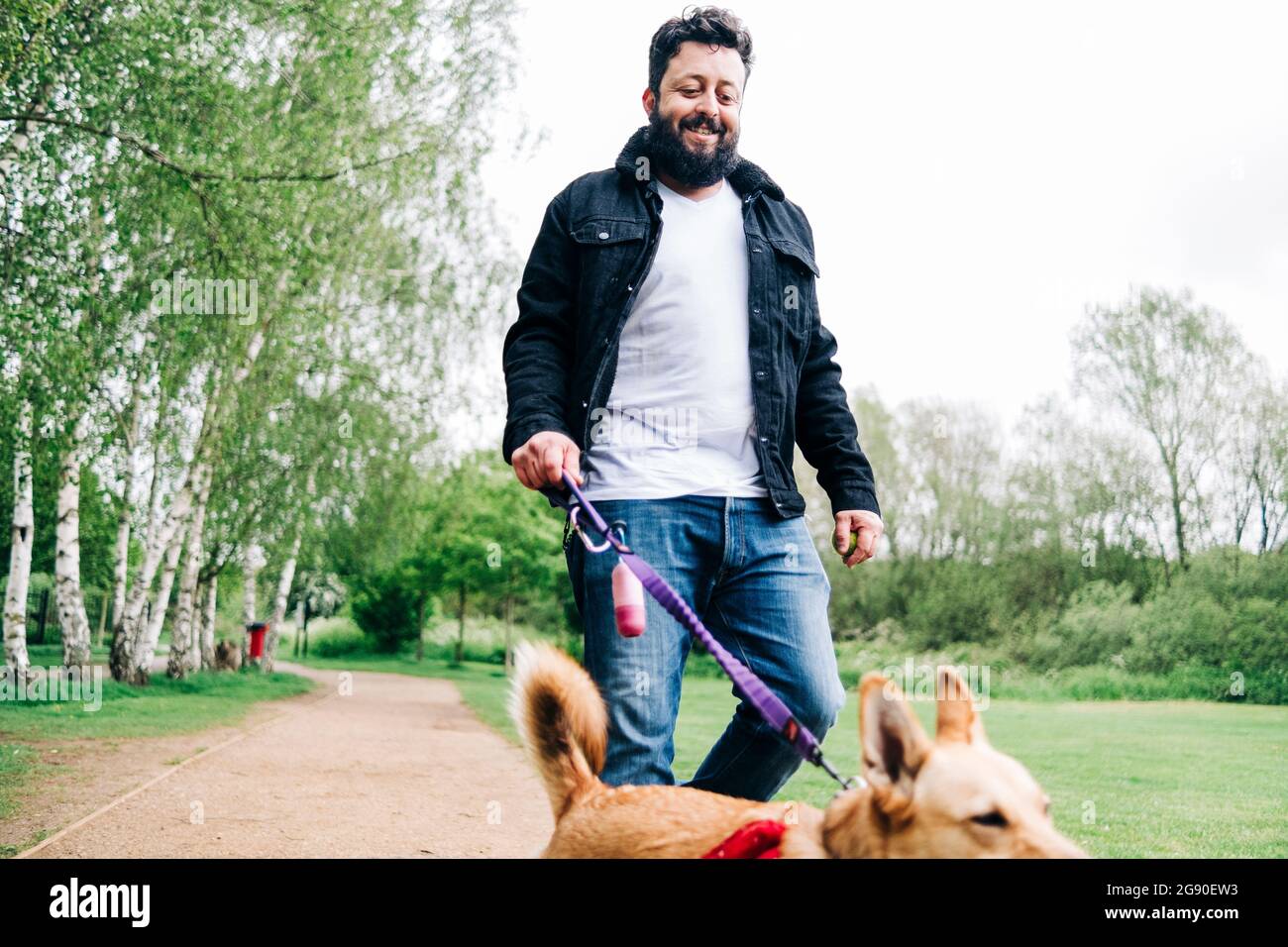 Man holding leash while walking with dog on footpath at park Stock Photo