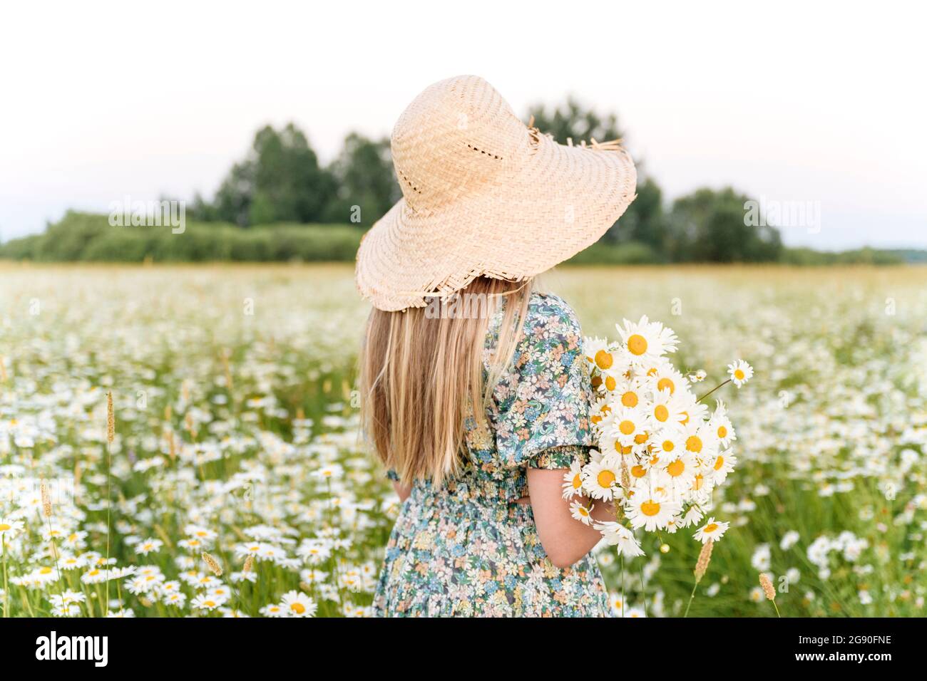 https://c8.alamy.com/comp/2G90FNE/girl-with-hat-holding-chamomile-flowers-while-standing-in-field-2G90FNE.jpg