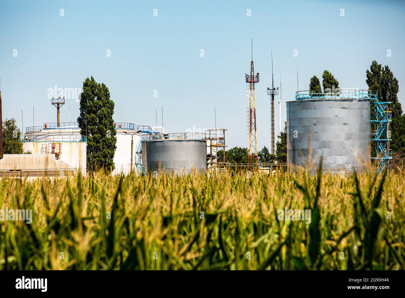 Typical industrial landscape in Eastern Ukraine, corn field and fuel reservoirs of Naftogaz Ukraine 20,000b/d Shebelinka gas refinery, Kharkov region. Stock Photo