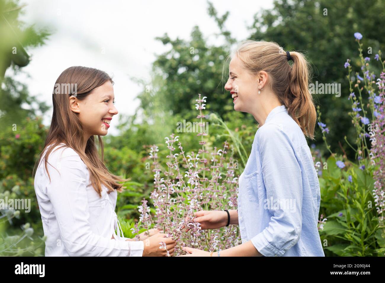 Happy young women looking at each other while touching flowering plant Stock Photo