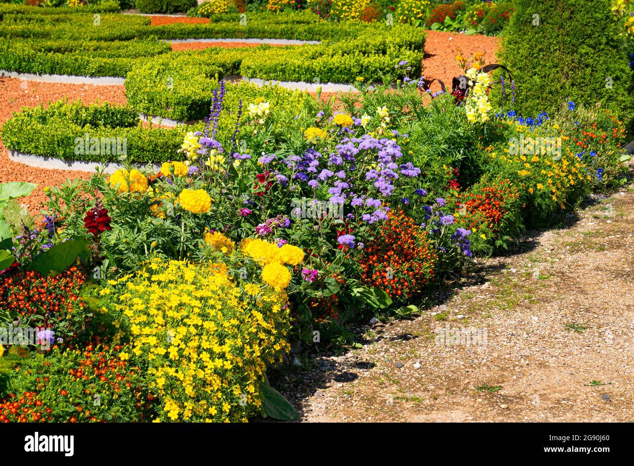 Various flowers in the flowerbed. Beautiful flower bed in a summer park ...